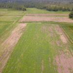 Property photo for land for sale in Duplin County North Carolina