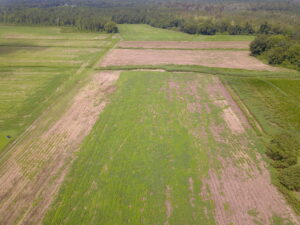 Property photo for land for sale in Duplin County North Carolina