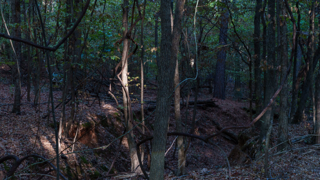 6d070a58-3806-4933-9f39-dd62755be38b.jpg