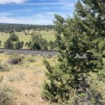 Property photo for land for sale in Lassen County California