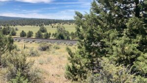 Property photo for land for sale in Lassen County California