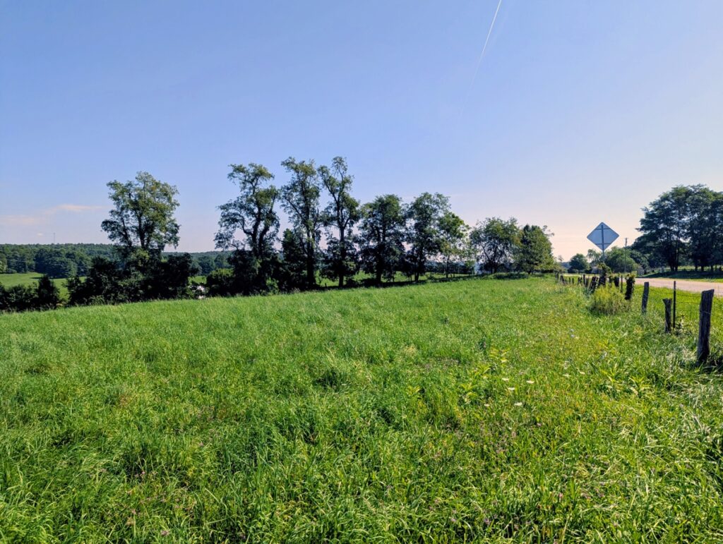 Property photo for land for sale in Floyd County Virginia