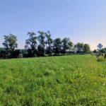Property photo for land for sale in Floyd County Virginia