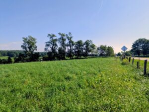 Property photo for land for sale in Floyd County Virginia