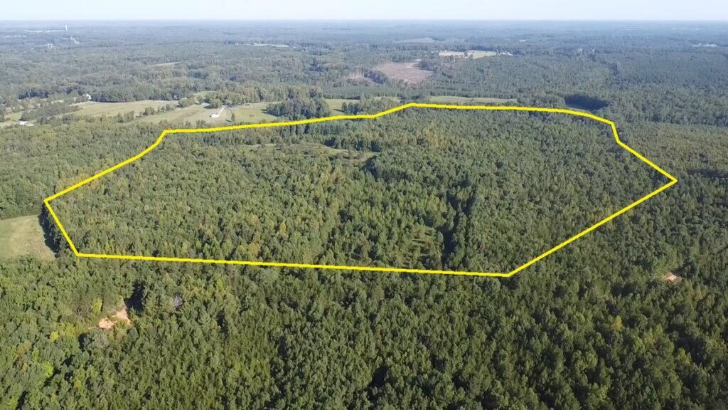 Property photo for land for sale in Lunenburg County Virginia