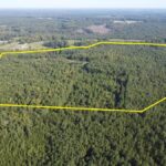 Property photo for land for sale in Lunenburg County Virginia