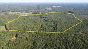 Property photo for land for sale in Lunenburg County Virginia