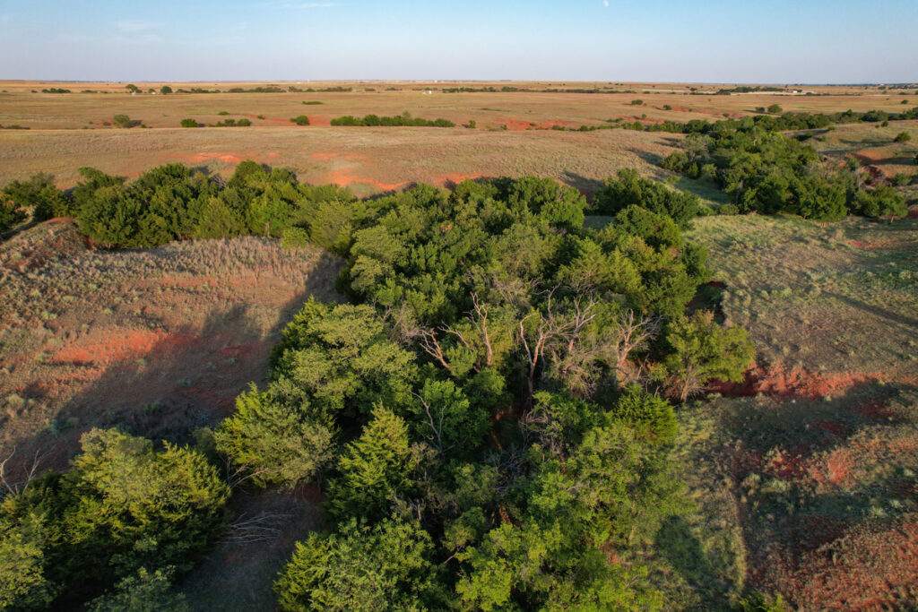 70c18ea5-6029-4fa6-b613-25ec7d878bcf.jpg