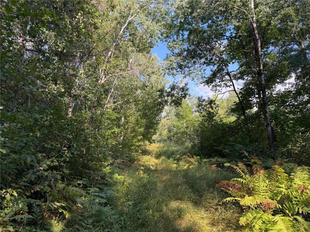 Property photo for land for sale in Pine County Minnesota