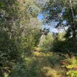 Property photo for land for sale in Pine County Minnesota