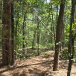 Property photo for land for sale in Pushmataha County Oklahoma