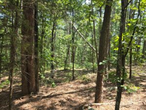 Property photo for land for sale in Pushmataha County Oklahoma
