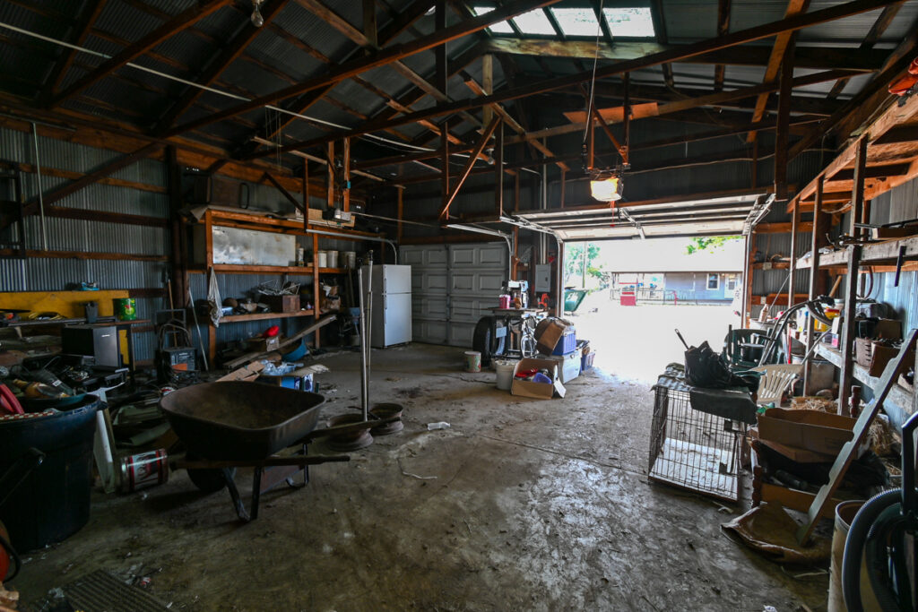 71fb61dc-bb2d-4a96-af3a-13425bf0e9e3.jpg