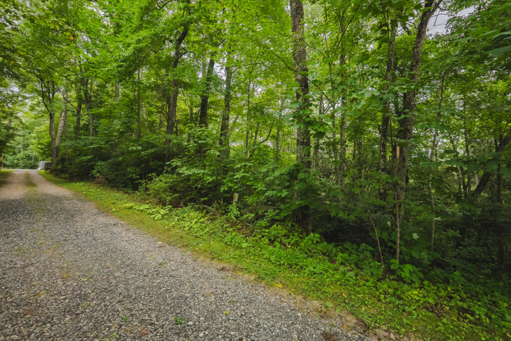 7265391d-ea25-46d1-8ac5-d0ba4ff008c3.jpg
