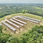 Property photo for land for sale in Geneva County Alabama