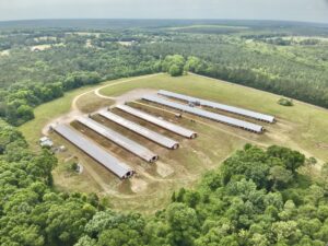 Property photo for land for sale in Geneva County Alabama