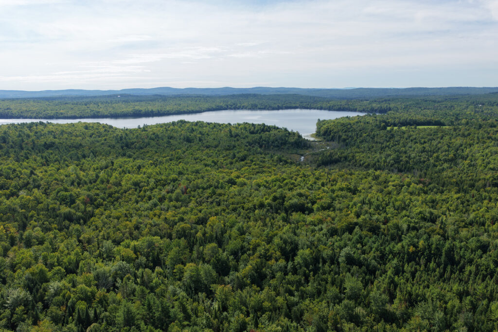 Property photo for land for sale in Piscataquis County Maine