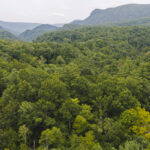 Property photo for land for sale in McDowell County North Carolina