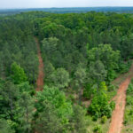 Property photo for land for sale in Van Zandt County Texas