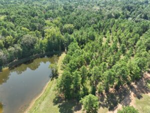 Property photo for land for sale in Cass County Texas