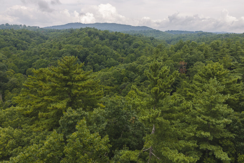 Property photo for land for sale in McDowell County North Carolina