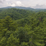 Property photo for land for sale in McDowell County North Carolina
