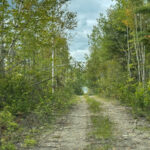 Property photo for land for sale in Washington County Maine