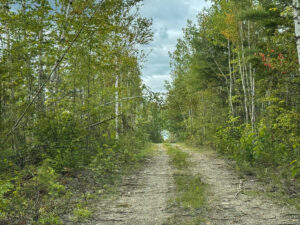 Property photo for land for sale in Washington County Maine