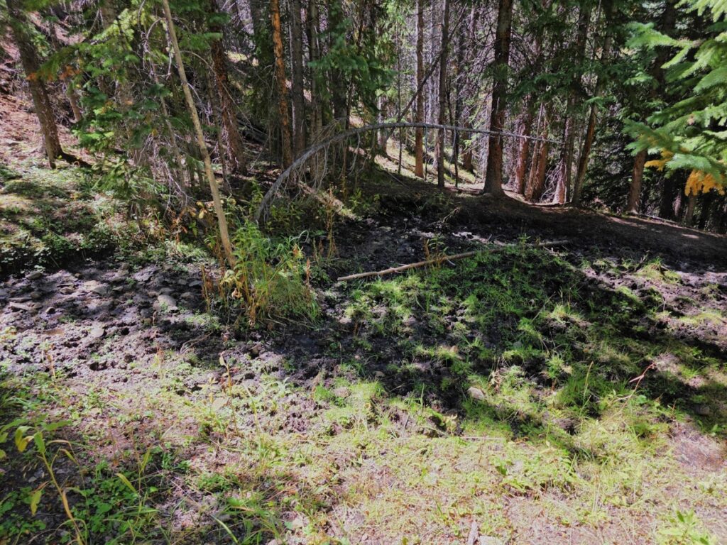 79380595-e8c7-43ee-82de-0b08963b375f.jpg