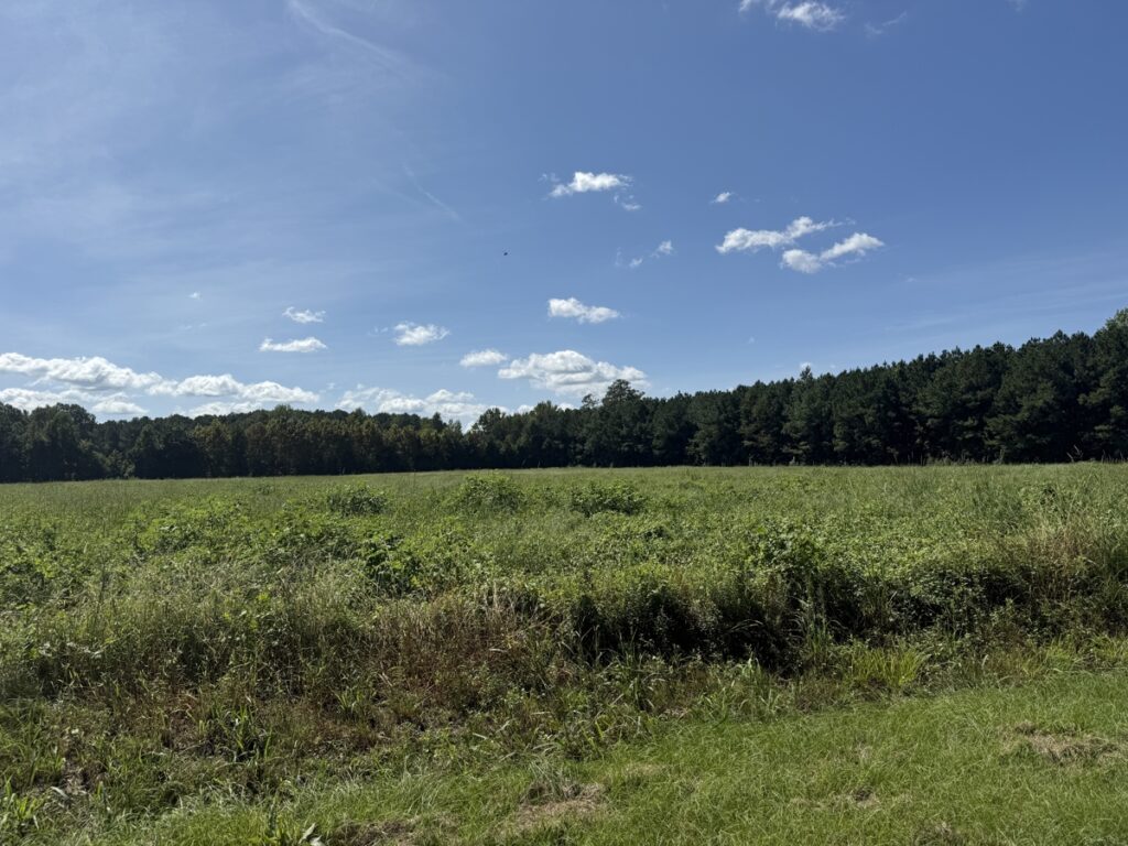 Property photo for land for sale in Beaufort County North Carolina
