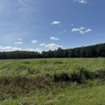 Property photo for land for sale in Beaufort County North Carolina