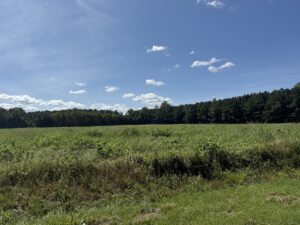 Property photo for land for sale in Beaufort County North Carolina