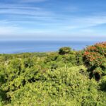 Property photo for land for sale in Hawaii County Hawaii