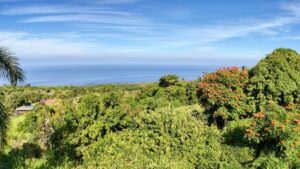 Property photo for land for sale in Hawaii County Hawaii