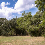 Property photo for land for sale in Washington County Texas