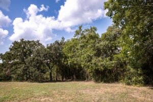 Property photo for land for sale in Washington County Texas