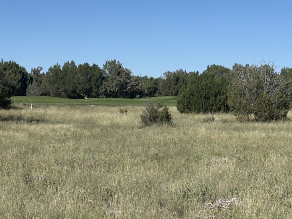 Property photo for land for sale in Navajo County Arizona