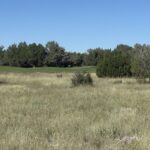 Property photo for land for sale in Navajo County Arizona