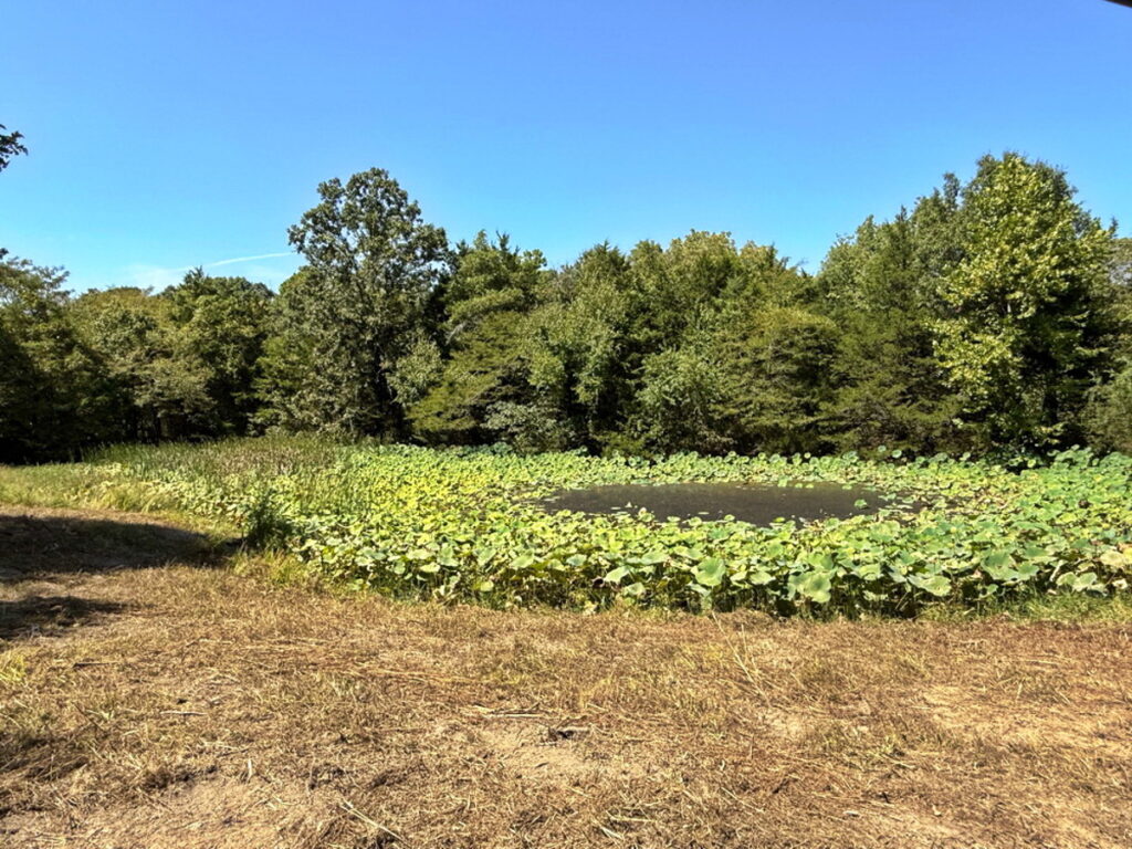 80c42c94-560e-4d19-928e-1b70eca4694c.jpg
