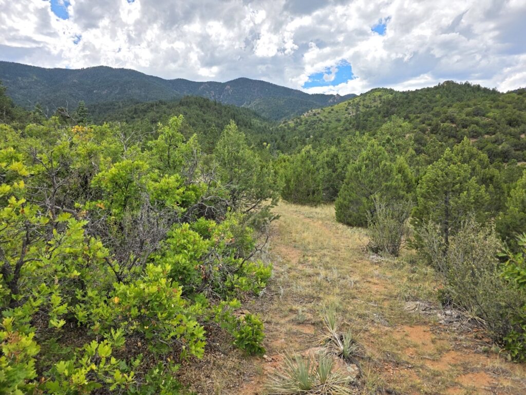 Property photo for land for sale in Fremont County Colorado