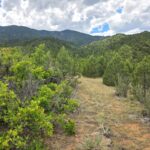Property photo for land for sale in Fremont County Colorado