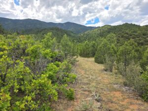 Property photo for land for sale in Fremont County Colorado