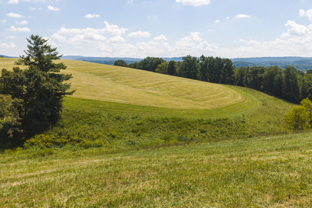 821e57d4-f6a9-429d-86a6-68a1064e41d5.jpg