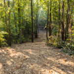 Property photo for land for sale in Smith County Texas
