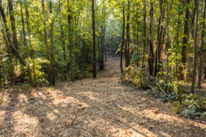Property photo for land for sale in Smith County Texas