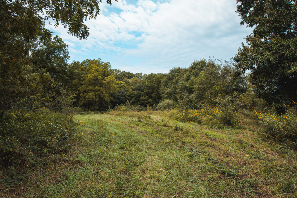 Property photo for land for sale in DeKalb County Missouri