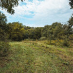 Property photo for land for sale in DeKalb County Missouri