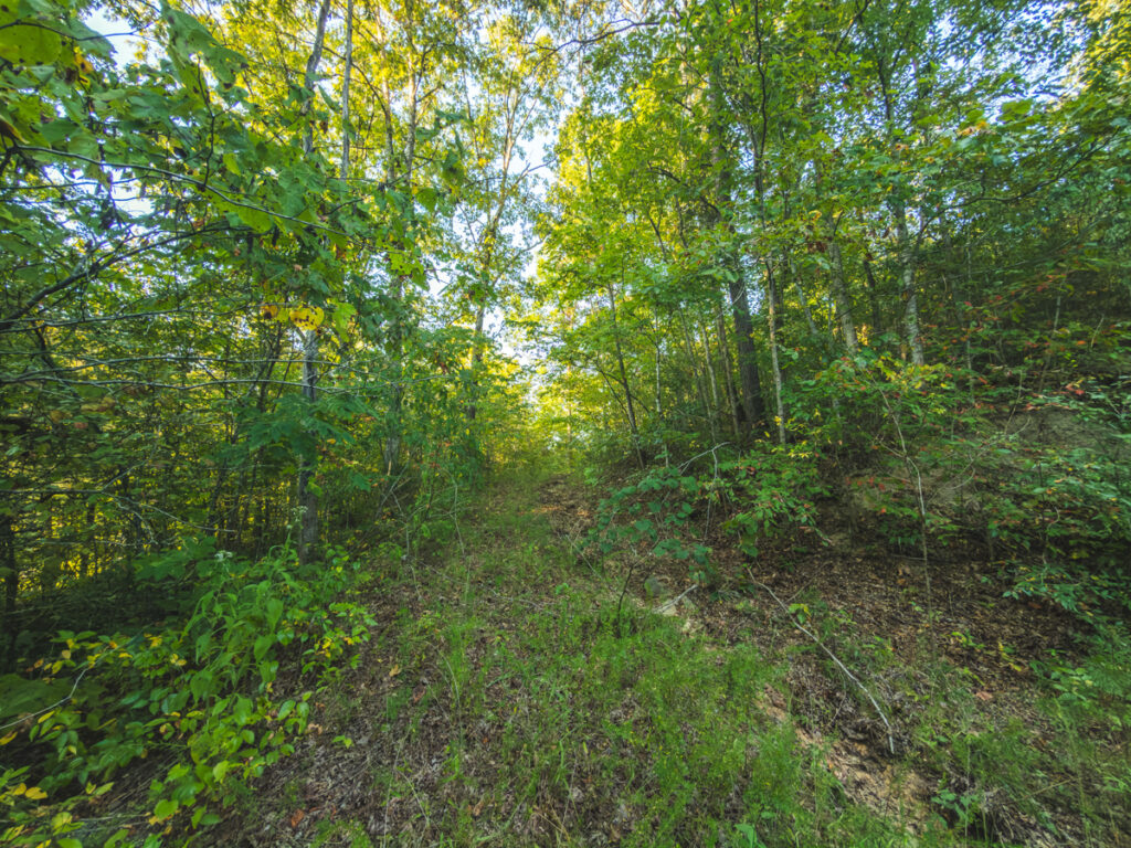 8a07f990-4196-4718-aae7-ee92a7ee7f3d.jpg