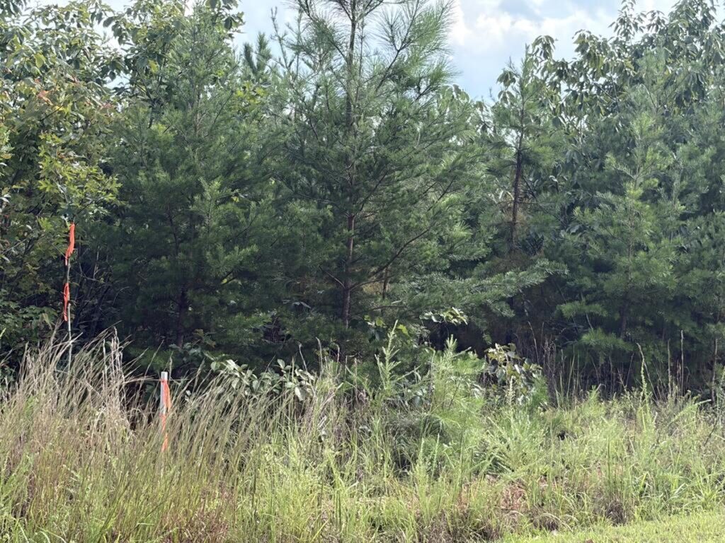 Property photo for land for sale in Halifax County Virginia