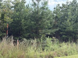 Property photo for land for sale in Halifax County Virginia